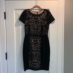 ANTHROPOLOGIE • LASERCUT BASALT SHEATH DRESS •